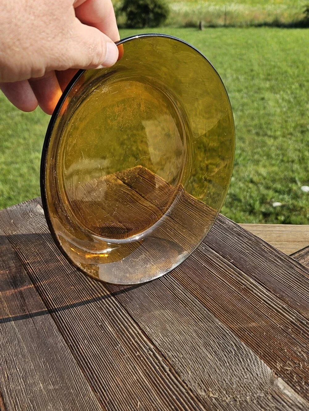 Amber glass plate with black rim  #amber